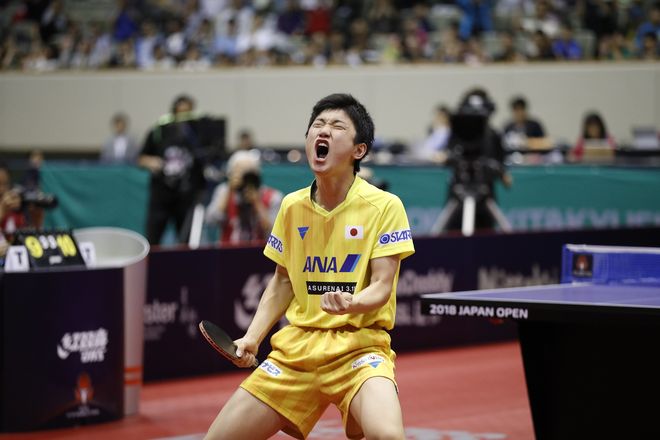 关于波兰队绝杀奥地利队，许昕高光表现的信息